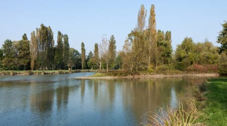 etang-de-ligueil